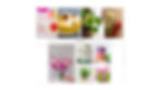 Untitled design (3)