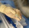 Dr. Jose Maria Hernandez Garcia-img1.png