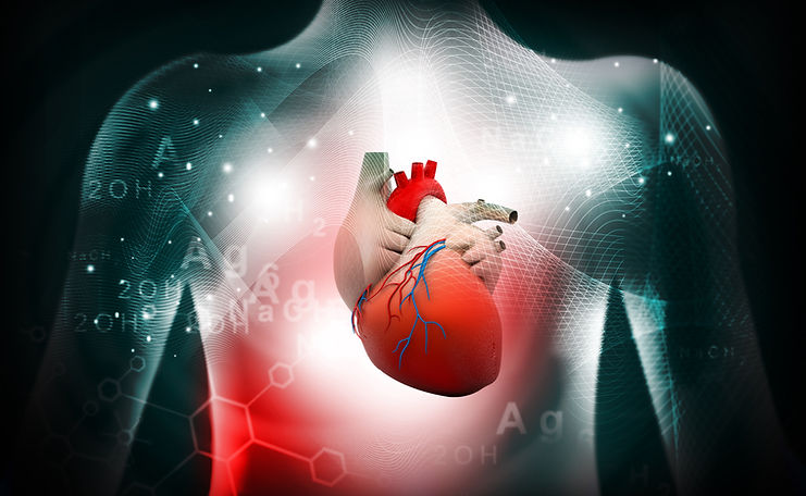 heart block condition.jpg