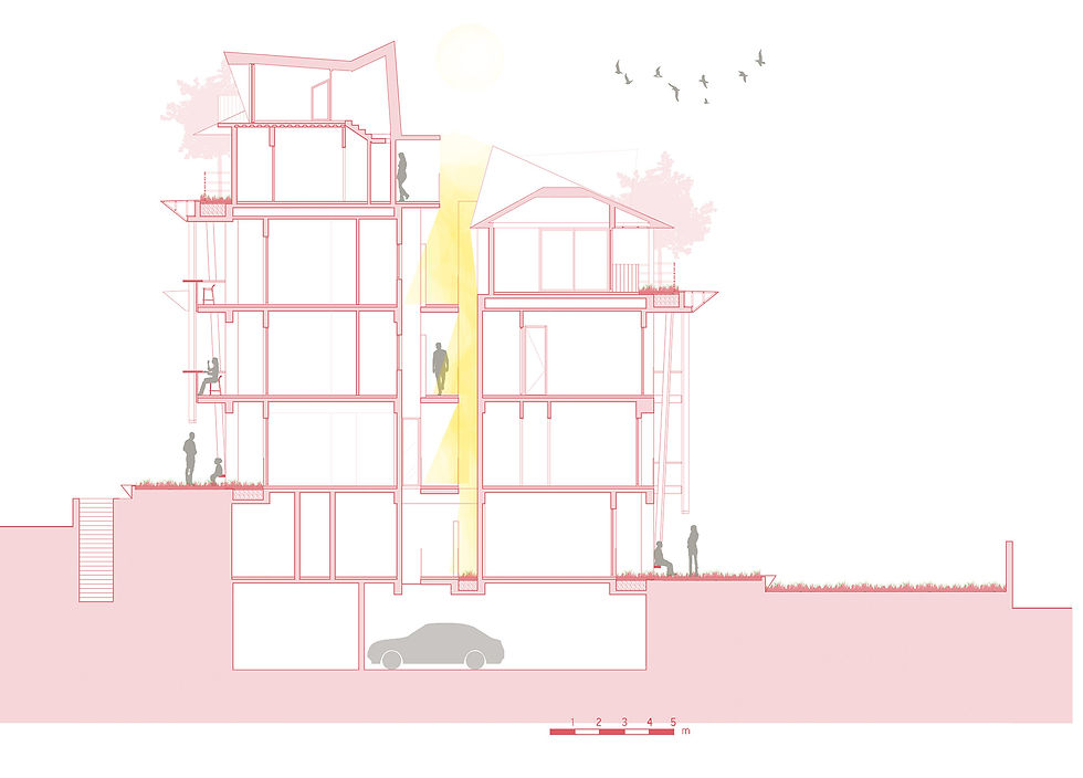 THE MOSS SECTİON.jpg