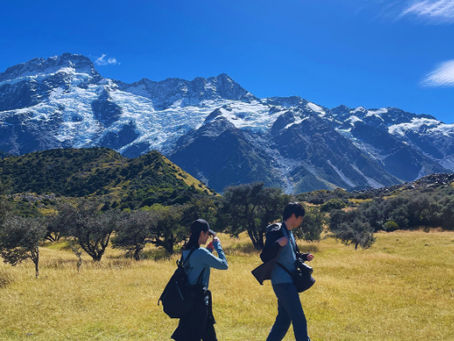 2026年渡航者ニュージーランドワーホリキャンペーンのご案内🇳🇿✨