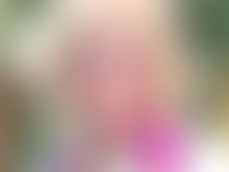 Hawaii is a leader in showing 'What's Right in Education!'