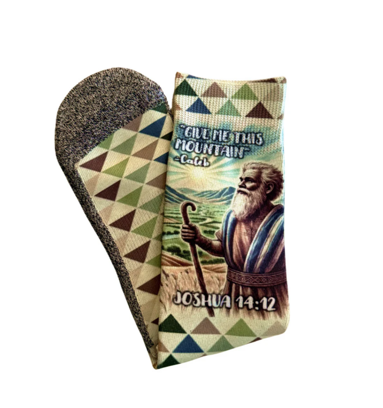 Thumbnail: The Promised Land - Move this Mountain (Joshua 14:12)