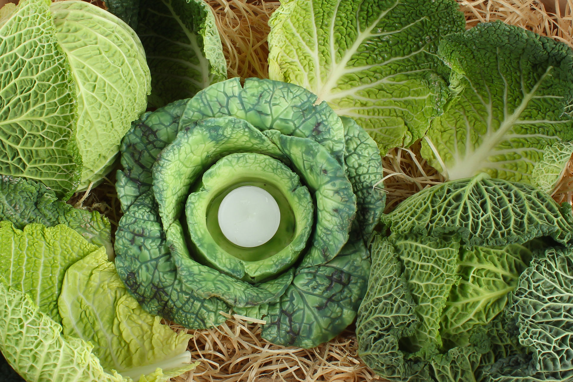 The Final Cabbage