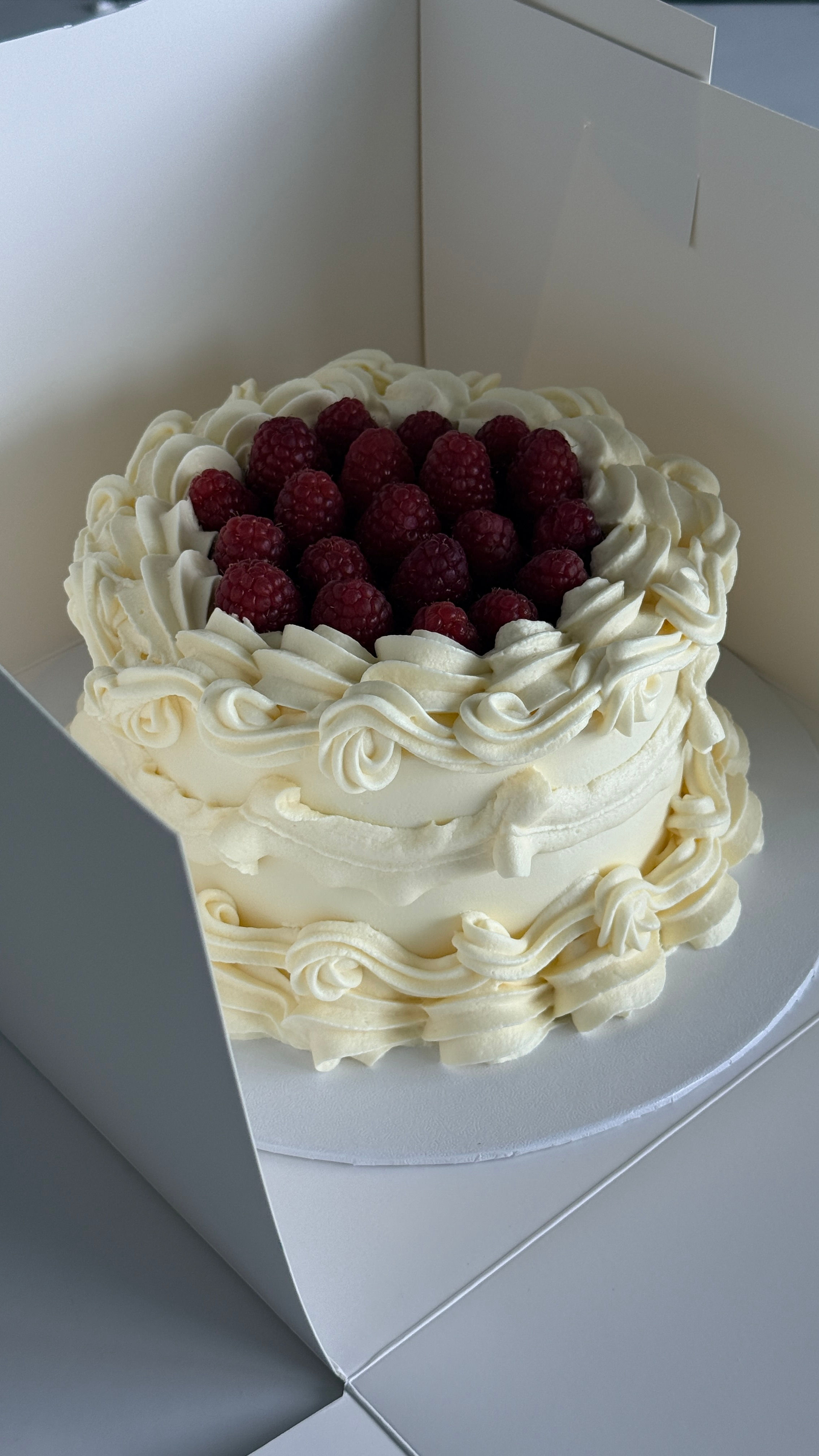 BentoMaxi with berries
