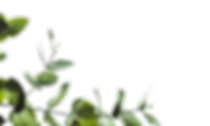 annie-spratt-hX_hf2lPpUU-unsplash.png