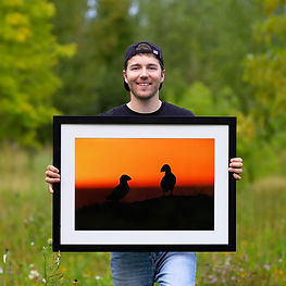 Wildlife photography Étienne Tremblay