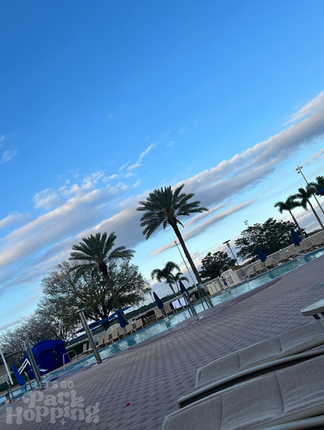 Palm tree view from Contemporary pool