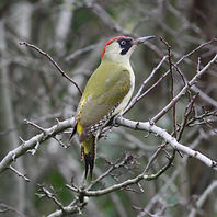 e2_IMG_8372.jpg