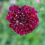lr_IMG_0426.jpg