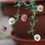 Thumbnail: Mexican Fleabane / Erigeron karvinskianus