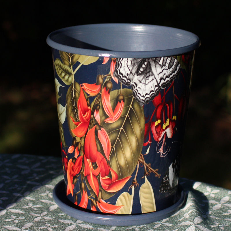 Thumbnail: Lemongrass in a decorative planter