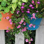 lr_IMG_0981.jpg