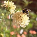 lr_IMG_4776.jpg