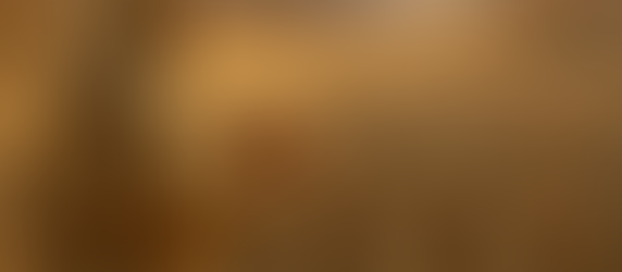 פרשת דברים | ה'תשפ"ה