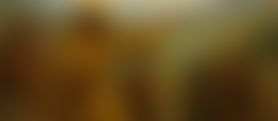 פרשת שלח לך | ה'תשפ"ה