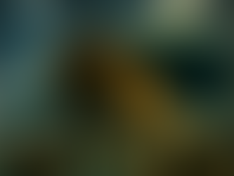 פרשת נח - ה'תשפ"ו