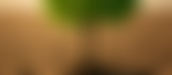 פרשת אחרי-מות קדושים | ה'תשפ"ה