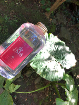 How to Brew the Perfect Cup