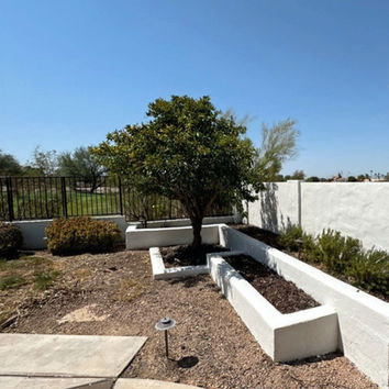 Painted landscape planter walls at Mesa Arizona home