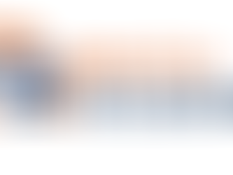 The digital domicile of company directors