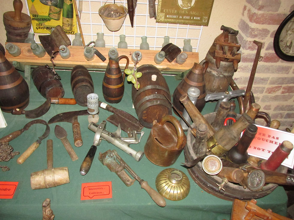 en vente ou location, tout sur le vin