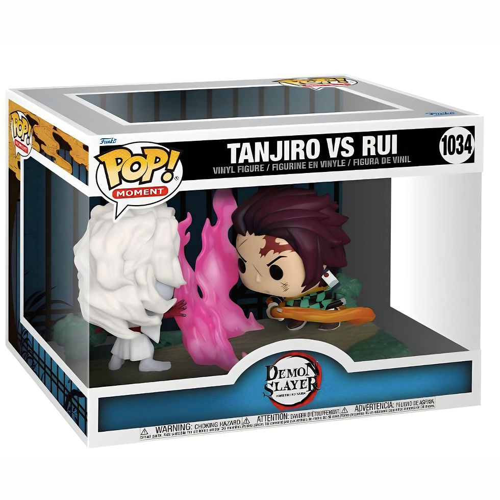 Thumbnail: DEMON SLAYER #1034: TANJIRO VS RUI MOMENT