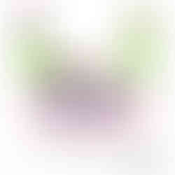 Cartoon of two boys sitting on a pink mat. The left is looking forward, the right is looking at a fidget toy in his hand. Both have vertical bars with roughly 80 percent labelled "Good learning". Caption reads "All students must be allowed to do good learning."