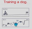 Training a Dog.jpg