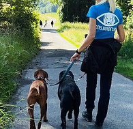 Odins Hundeschule Buchs ZH Leinenführigkeit