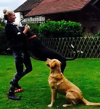 Plausch Spiel und Spass Alles darf nix muss