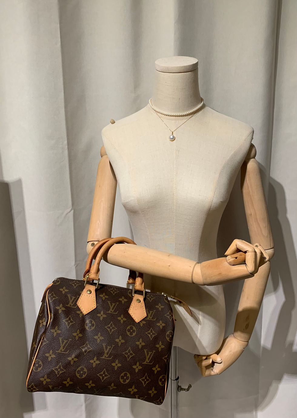 Thumbnail: LV Speedy 25