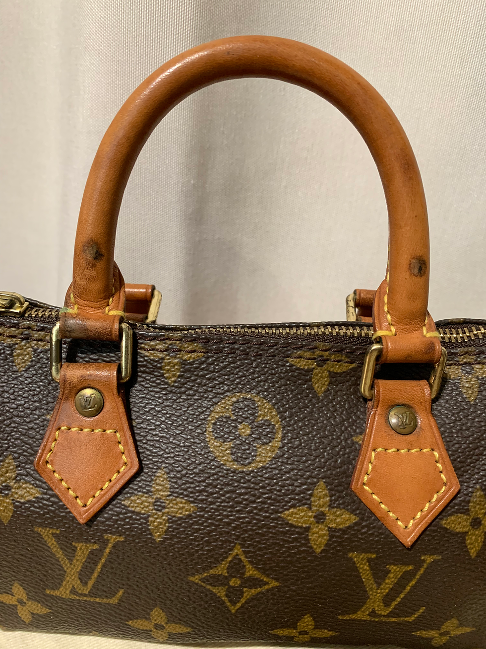 Thumbnail: LV nano speedy / mini HL handbag