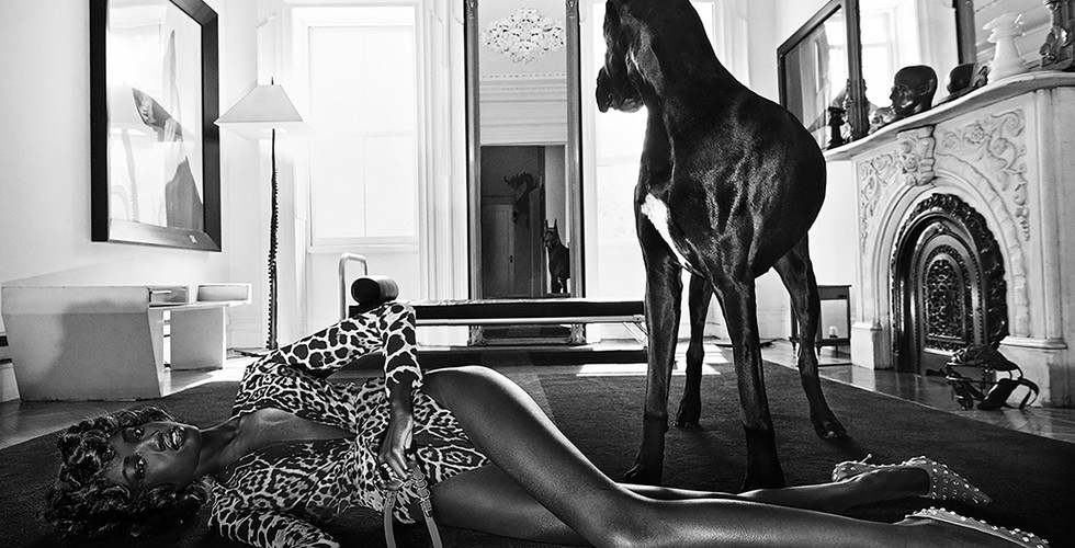 Steven Klein, "Anok and Prince 04", 2019