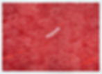 ree