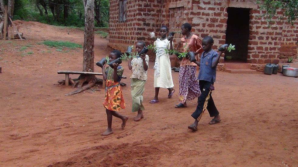 Everyone has a role to play in conserving the environment. These young children are helping their parents assemble seedlings