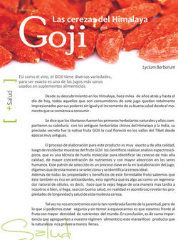 revista mnnews