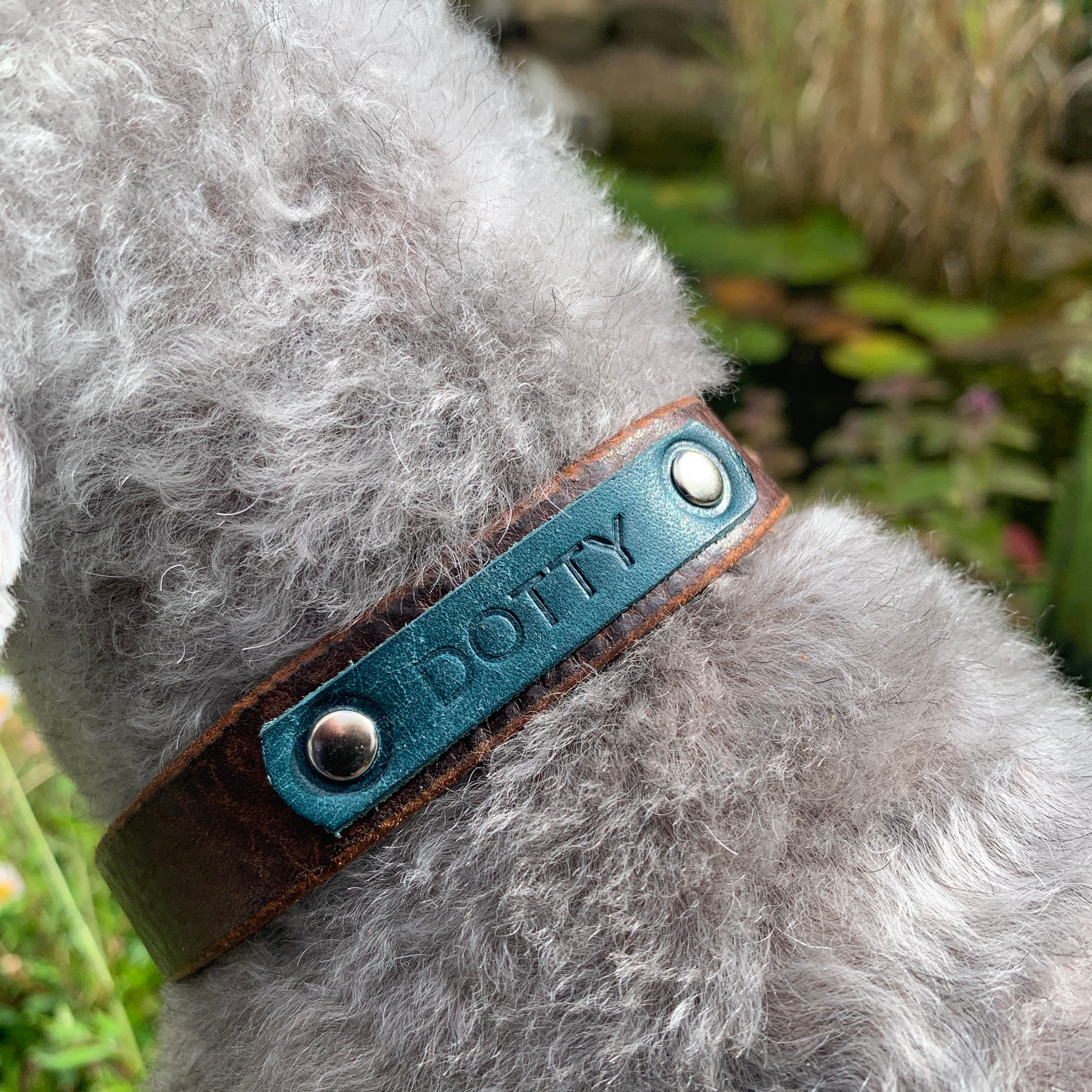Crompton Narrow Width Dog Collar