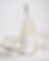 Untitled design - 8.png