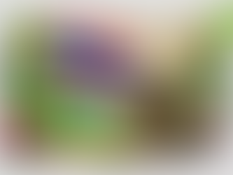 Tailandia ampliará sus ETFs cripto más allá de bitcoin: vía rápida para altcoins en 2026