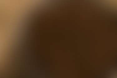 El café cae en Nueva York tras el guiño de Washington a un alivio de aranceles