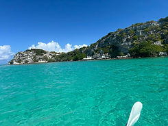 WhatsApp Image 2026-01-31 at 6.01.19 PM.jpeg