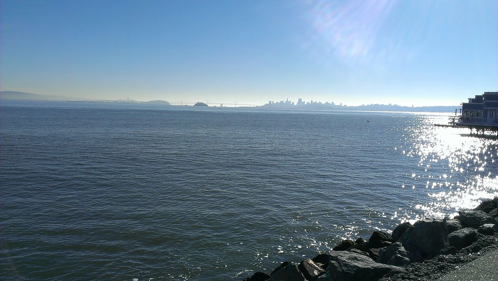 Sausalito Seaside