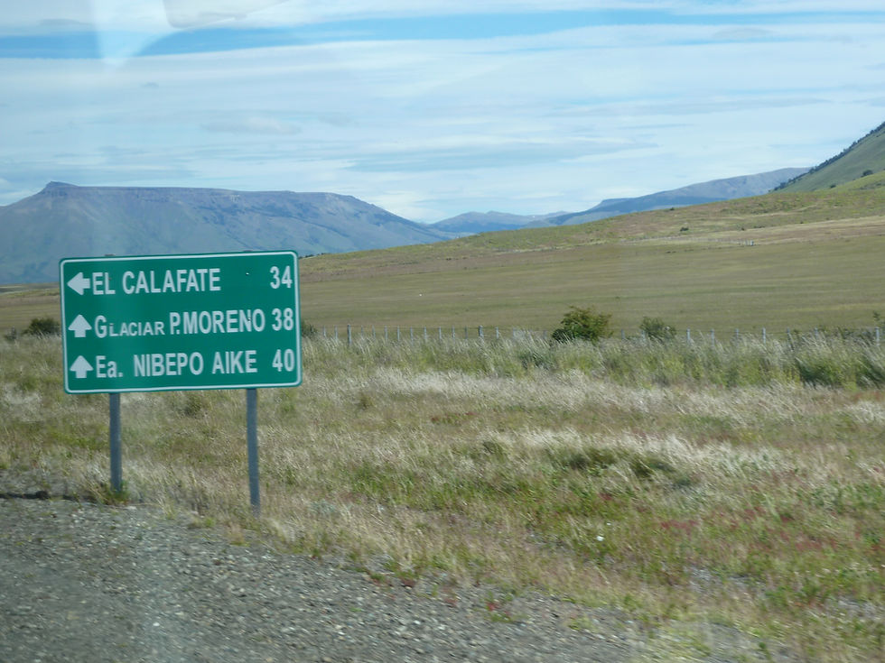 Stepps of Patagonia