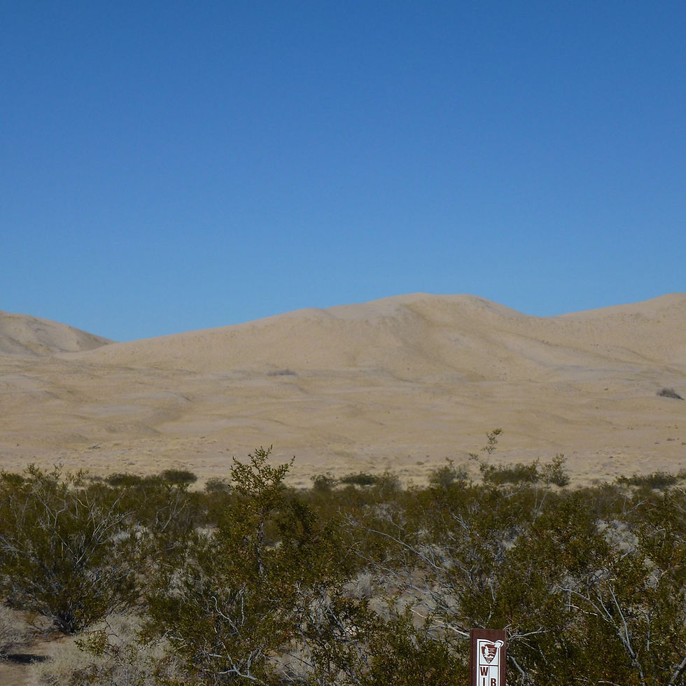 Kelso Sand Dunes