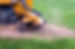shutterstock_1524819185.jpg