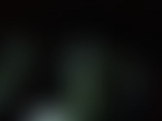 Björk staring at my bald head.