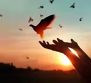 woman-praying-free-bird-enjoying-nature-sunset-background-hope-concept_34200-613.avif