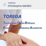 Torega website