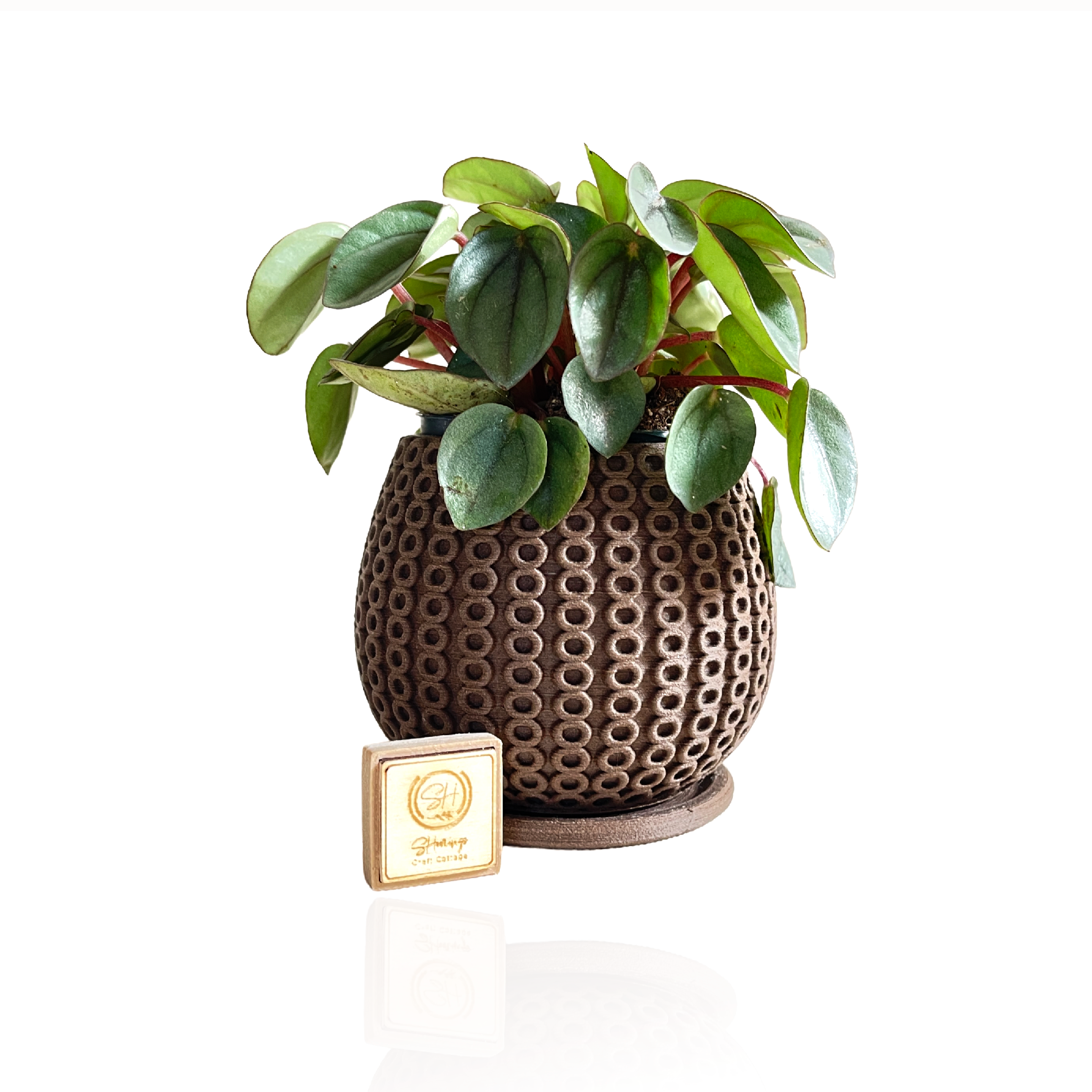 Freigestellter Pflanztopf für Mini-Pflanzen wie Sukkulenten & Kakteen, braun